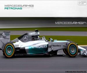 Puzzle Mercedes AMG F1 W05 - 2014 -