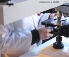 Scientifique avec un microscope dans le laboratoire