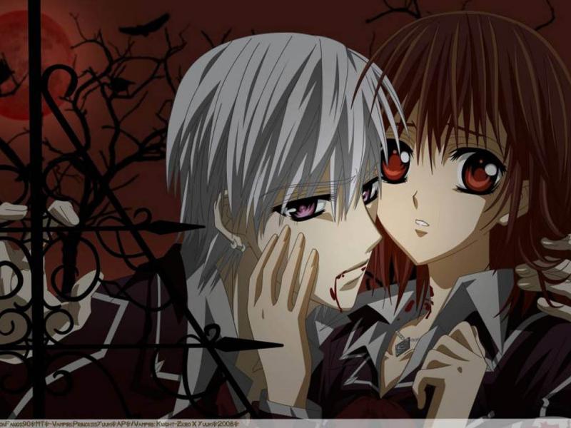 vampire knight puzzle