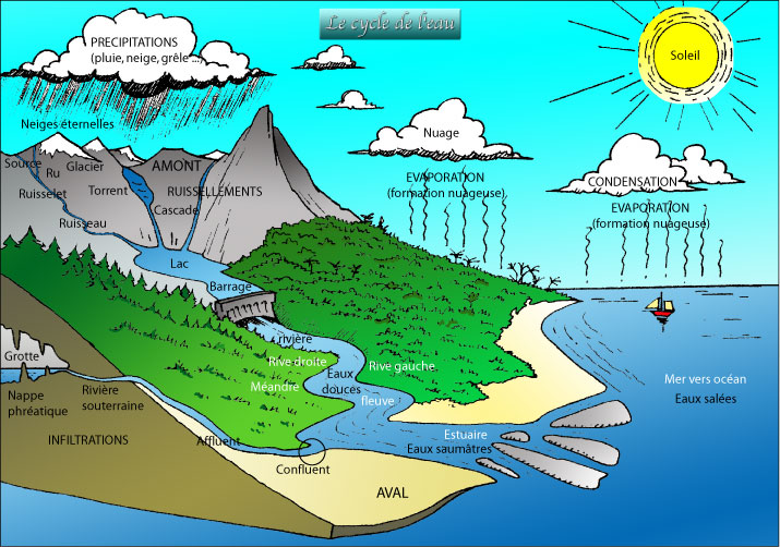 Le cycle de l'eau puzzle