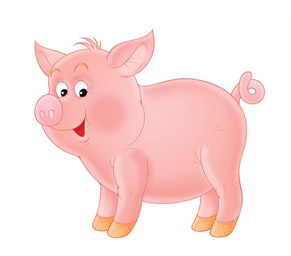 puzzle cochon puzzle