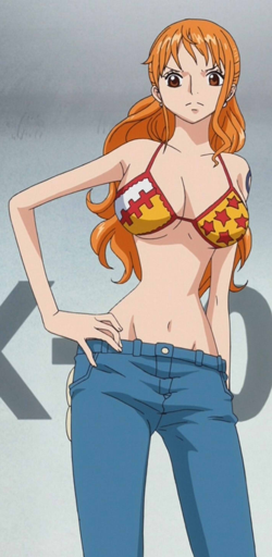 one piece nami 2 ans plus tard puzzle